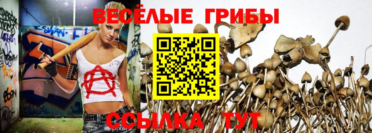 Псилоцибиновые грибы мухоморы  Вход с VPN  продажа наркотиков  Кольчугино 